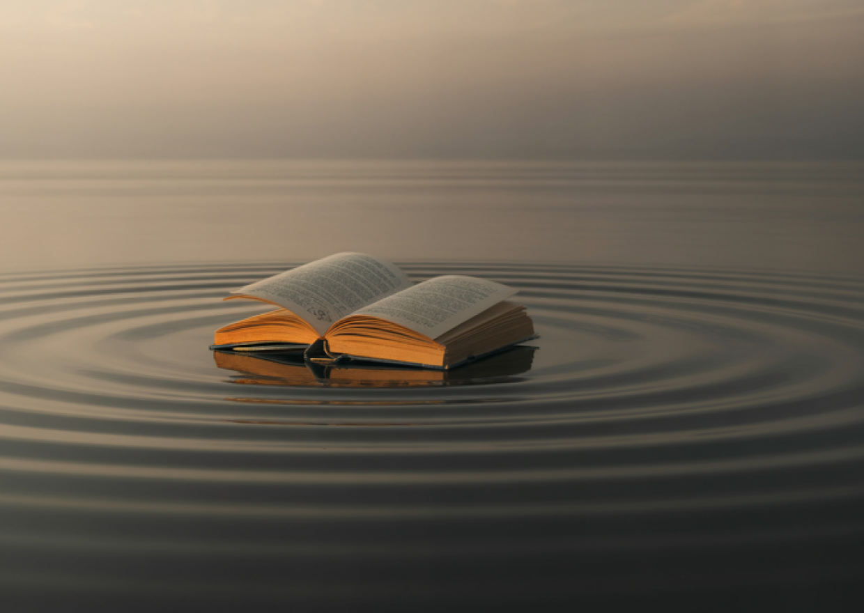 2-the-expanding-ripple-learning-that-spr_cah5qtz7S9KKaGid-n2PkQ_BEr4fheIRcSko0Nsr5BdfA_hd